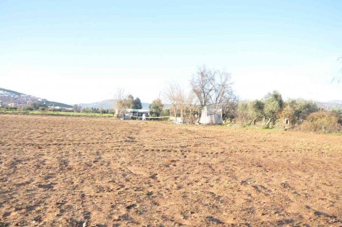 Muğla’da Tarlada Erkek Cesedi Bulundu