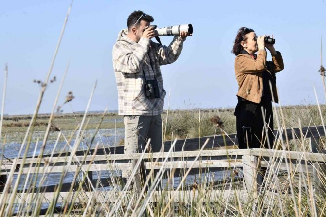 Kızılırmak Deltası 50 Binden Fazla Ziyaretçiyi Ağırladı