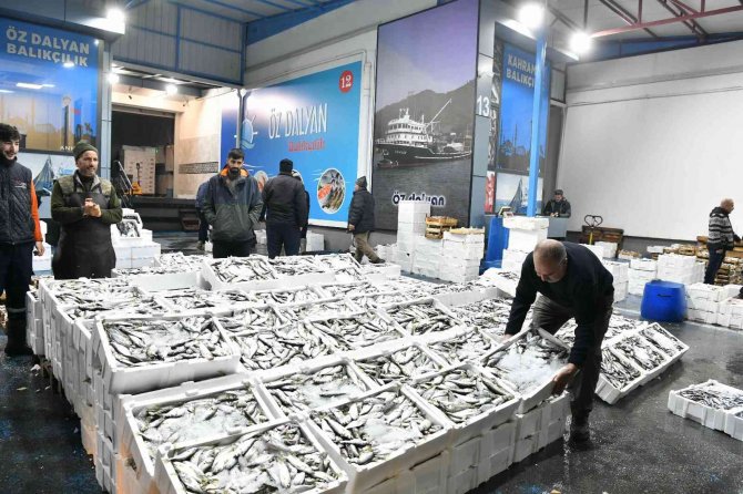 Ankara Balık Hali Esnafı Yeni Yerinden Memnun