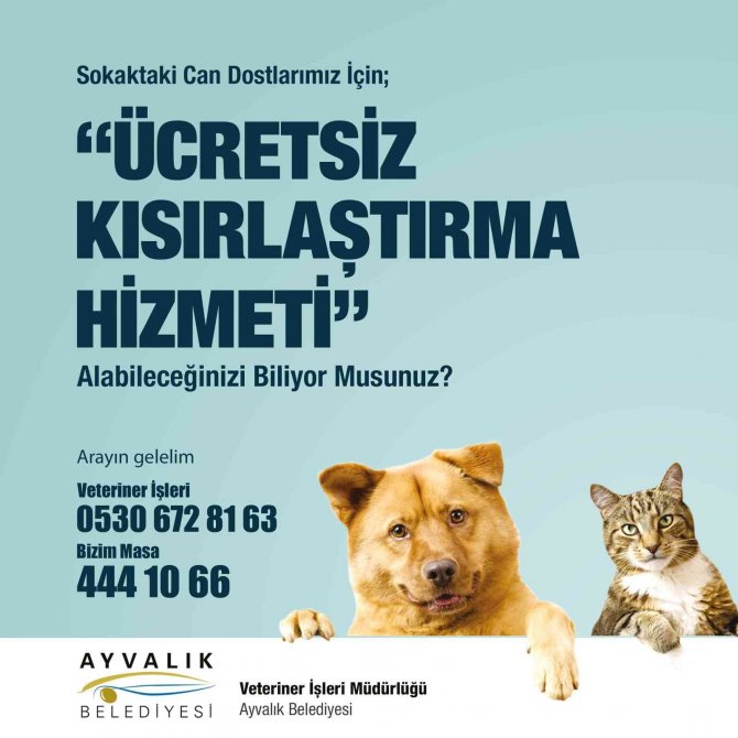 2022 Yılı Boyunca Sokaktaki Binlerce Can Dosta Tıbbi Müdahale