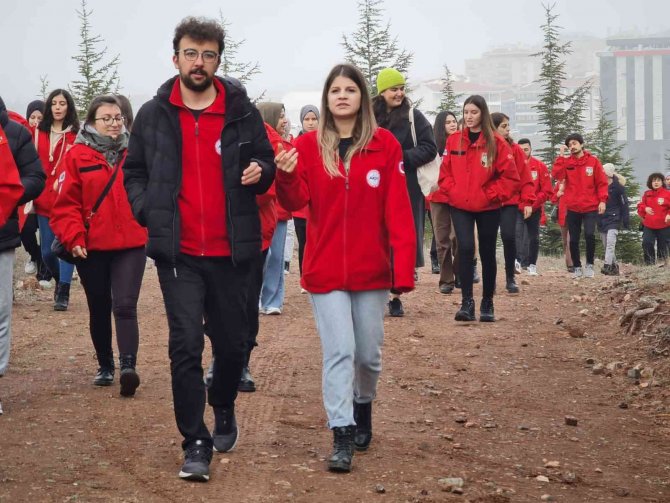 Akut Ve Öğrenci Kulüpleri Sokak Hayvanlarına Yiyecek Bıraktı