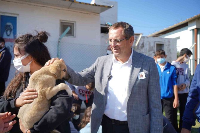 2022 Yılı Boyunca Sokaktaki Binlerce Can Dosta Tıbbi Müdahale
