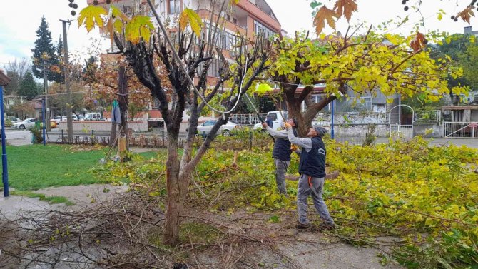 Burhaniye Merkezde Parklar Yenileniyor