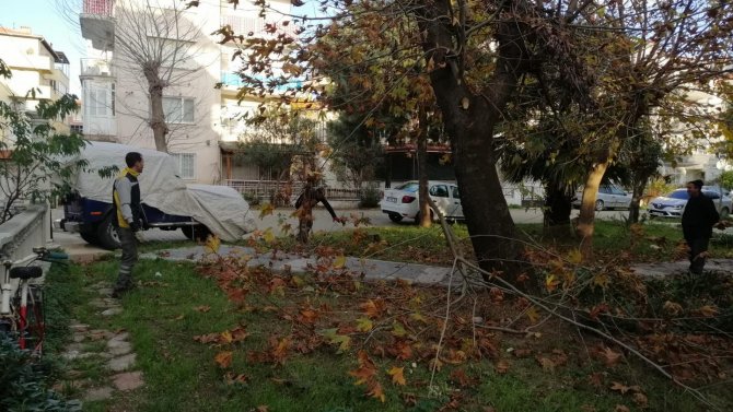 Dört Mevsim Yeşil Edremit İçin