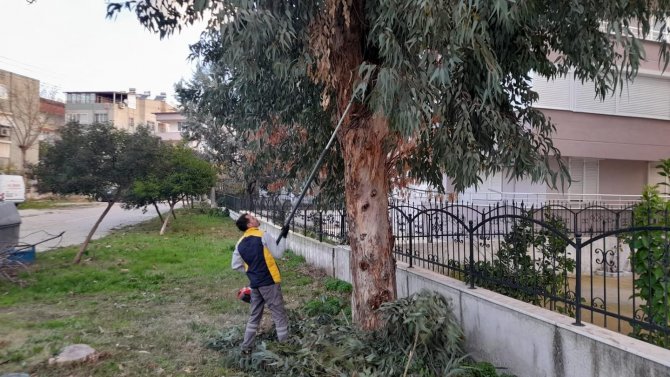 Dört Mevsim Yeşil Edremit İçin