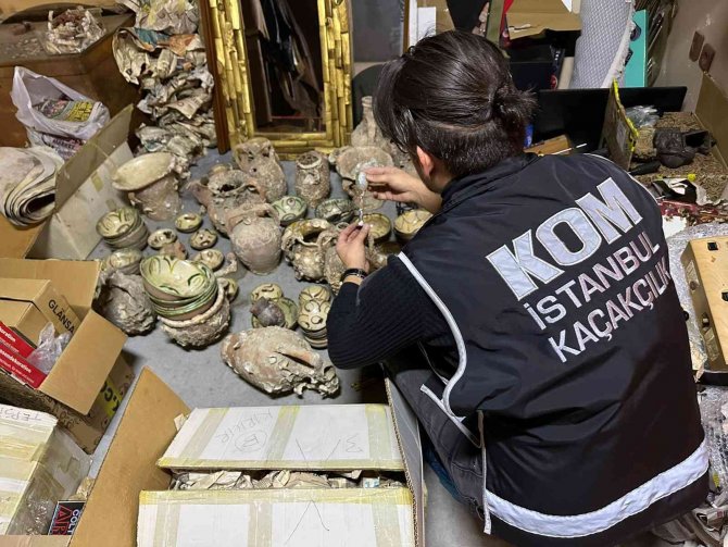 Kadıköy’de Yabani Hayvan Boynuzu Operasyonu