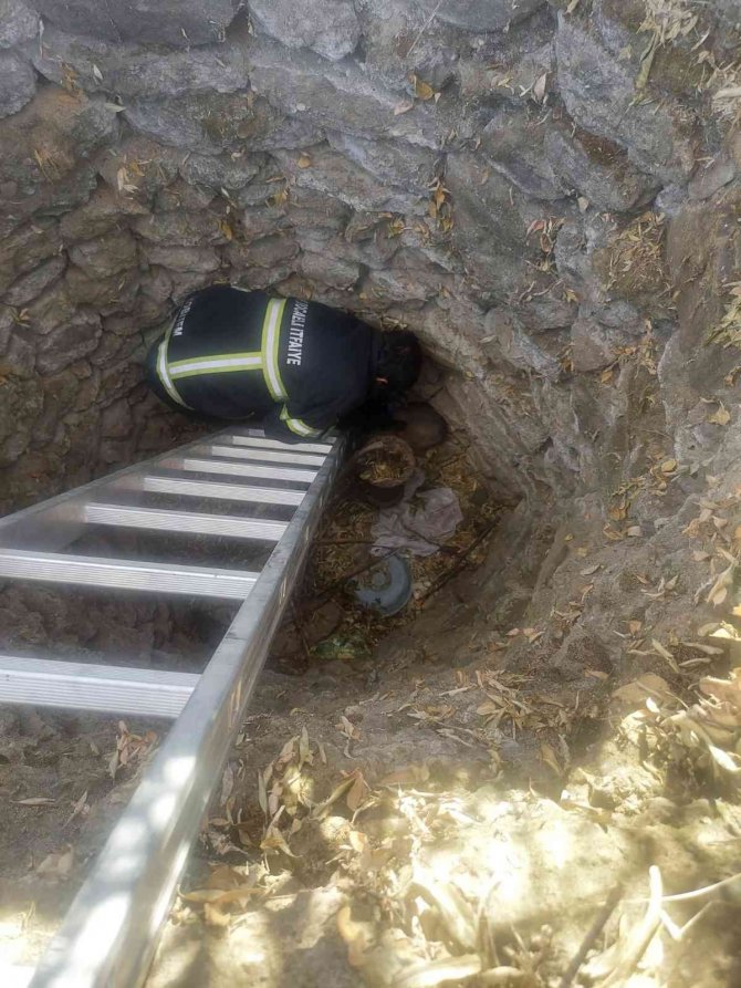 Kuyuya Düşen Yavru Köpeği İtfaiye Ekipleri Kurtardı