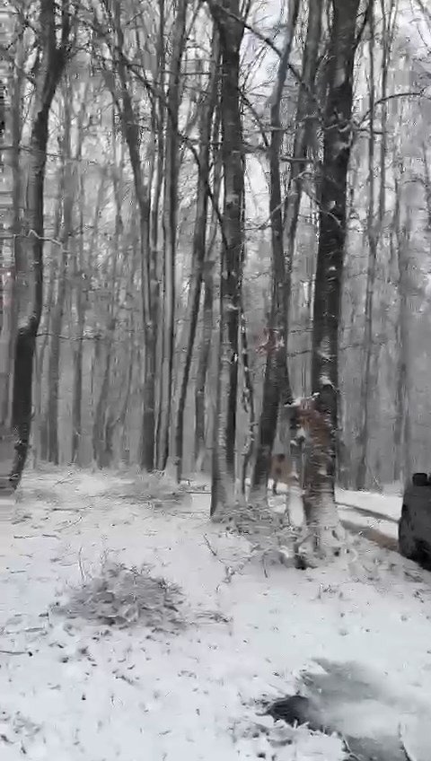 İ̇znik‘te Kar Etkisini Sürdürüyor