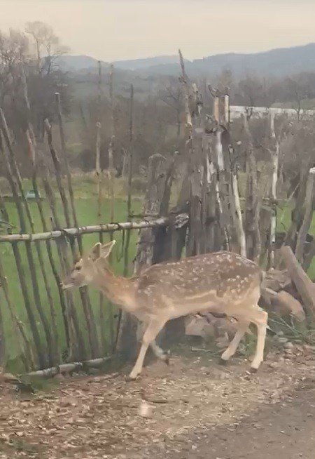 Biga’da Karaca Köye İndi