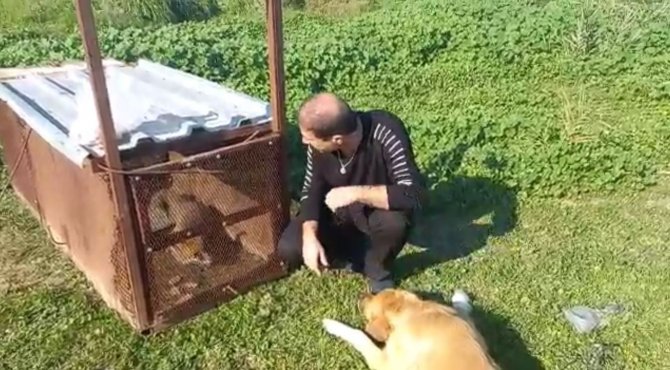 Tilkinin Kurnazlığı, Emekli Polisin ‘Battal Gazi’ Kapanına Sökmedi