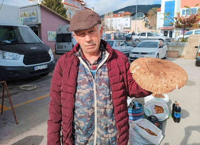 Fiyatı Eti Geçen Çıntar Satıcısından İlginç Etiket