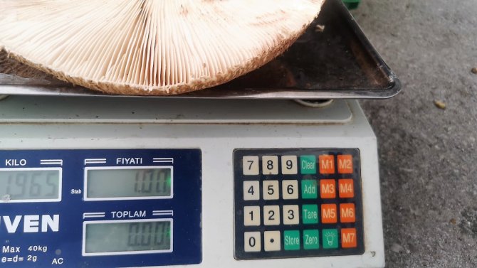 Fiyatı Eti Geçen Çıntar Satıcısından İlginç Etiket