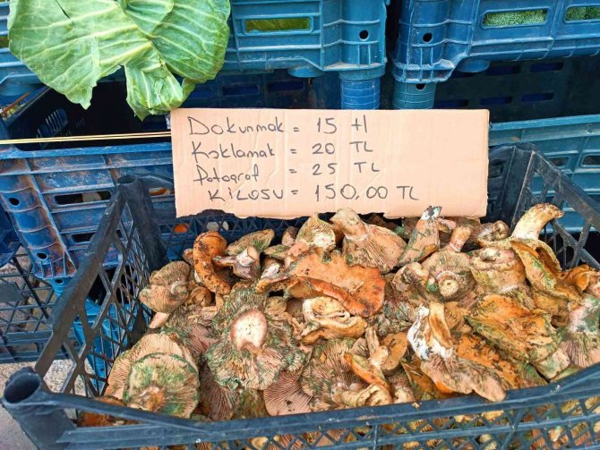 Fiyatı Eti Geçen Çıntar Satıcısından İlginç Etiket