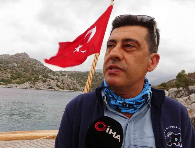 Deniz Süngerlerinde ‘Sıcaklık’ Tehlikesi