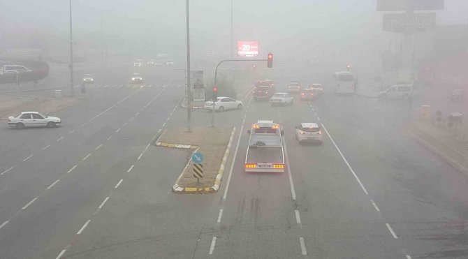 Erzincan’da Sis Ve Soğuk Hava Etkili Oldu