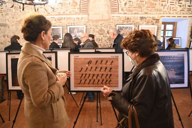 Karesinin En Güzel Kareleri Beğeniye Sunuldu