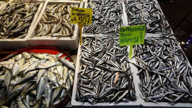 Hava Muhalefeti Hamsi Fiyatını İkiye Katladı