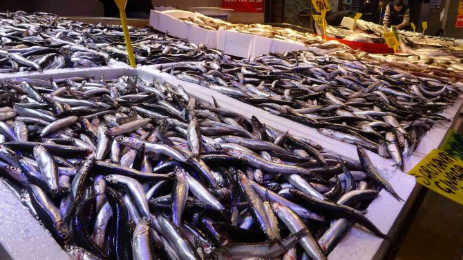 Hava Muhalefeti Hamsi Fiyatını İkiye Katladı