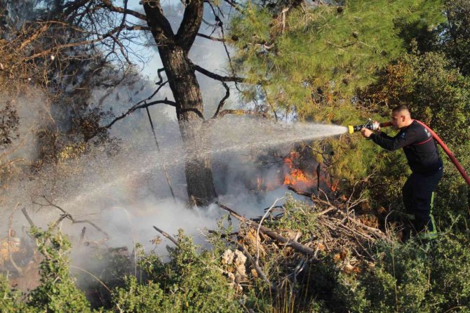Su Dolu Bidonlarla Alevlerin Ormana Sıçraması Önlendi