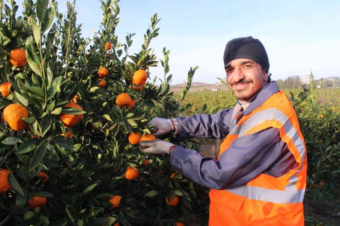 “Umut Hasadı”
