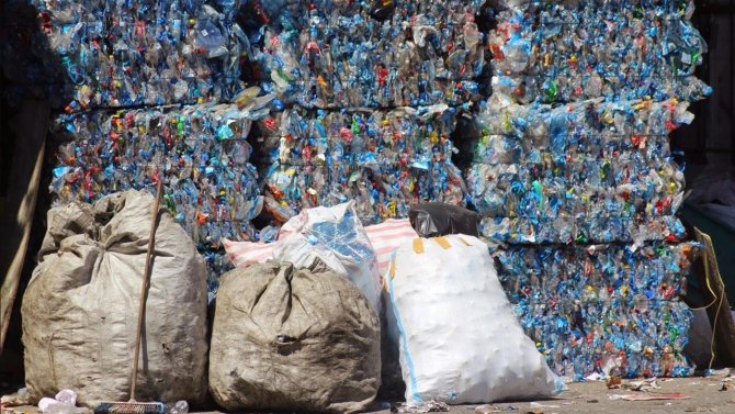 Sokak Atık Toplayıcılarına ‘Bilimsel’ Araştırma