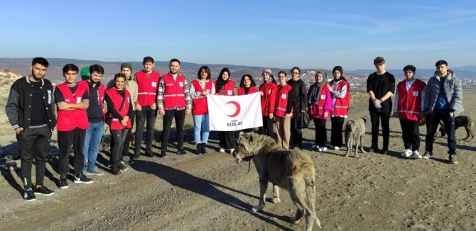 Öğrenciler Sokak Hayvanlarına Yiyecek Dağıttı