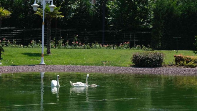 Maltepe Belediyesi, ‘Yılın Çevreci Yerel Yönetimi’ Seçildi