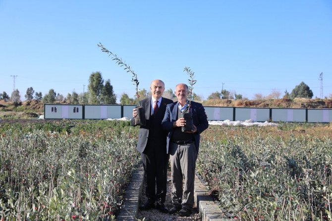 Mardin’de 1 Milyon Fidanın Dağıtımına Başlandı