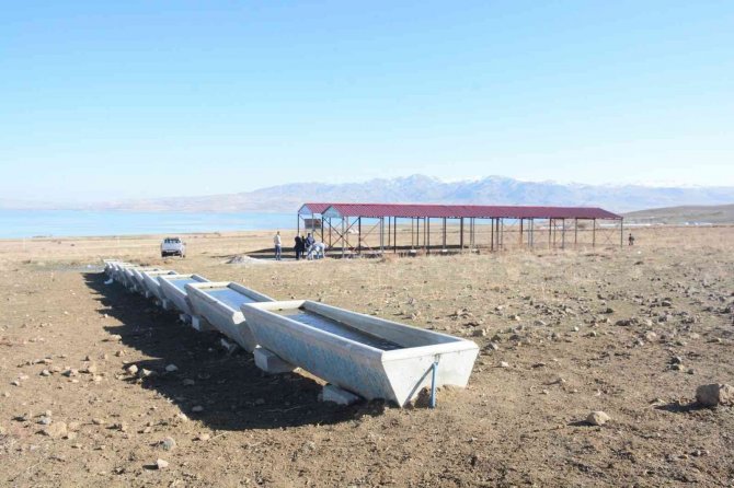 Tuşba Belediyesinden Bölge Hayvancılığına Büyük Destek