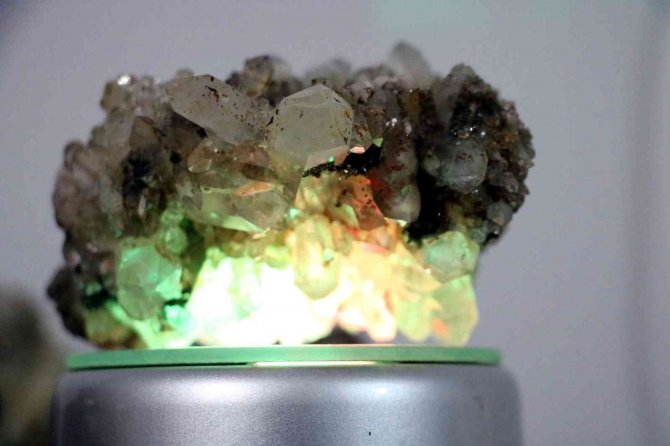 Kiraya Vermediği Evini Taş Müzesine Dönüştürdü