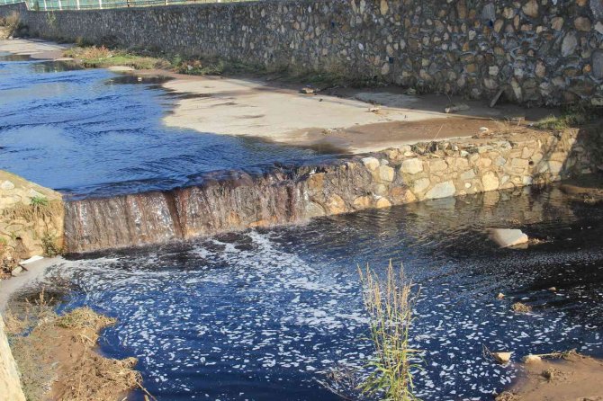 Zeytin Sezonu Başladı, Köşk Çayı Siyaha Büründü