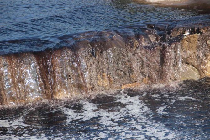 Zeytin Sezonu Başladı, Köşk Çayı Siyaha Büründü