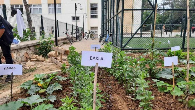 Lise Öğrencileri ’Yerel Tohum Projesi’ni Hayata Geçirdi