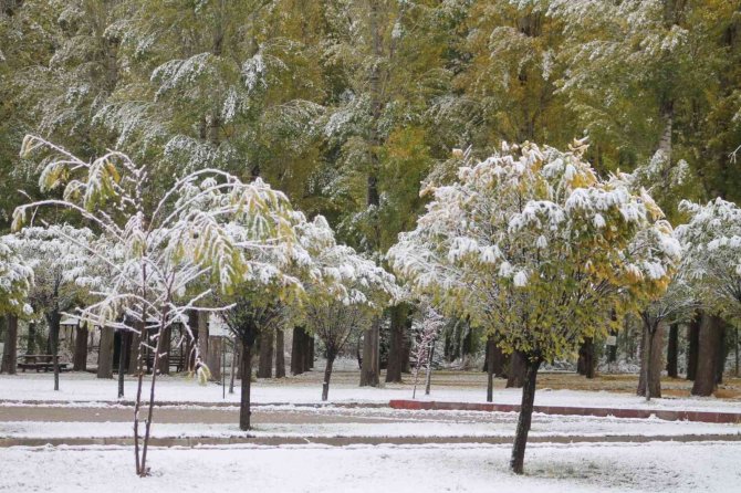 Bayburt Merkeze Mevsimin İlk Karı Yağdı