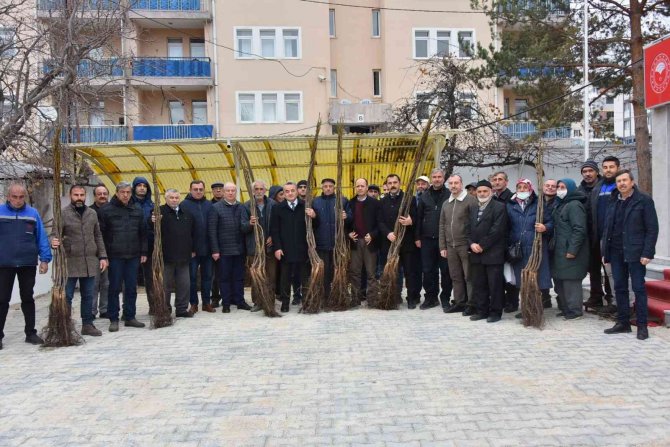 Bozüyük’te 898 Adet Ceviz Fidanı Dağıtıldı