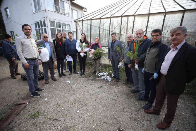 Gökçeada’da 6 Bin 410 Aşılı Fidan Toprakla Buluşturulmak Üzere Üreticilere Dağıtıldı