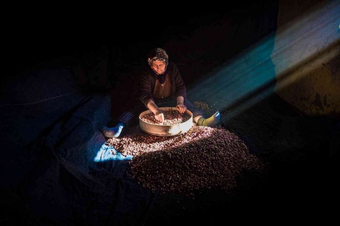 ‘Gaziantep’te Hasat Mevsimi’ Fotoğraf Yarışması Sonuçları Açıklandı