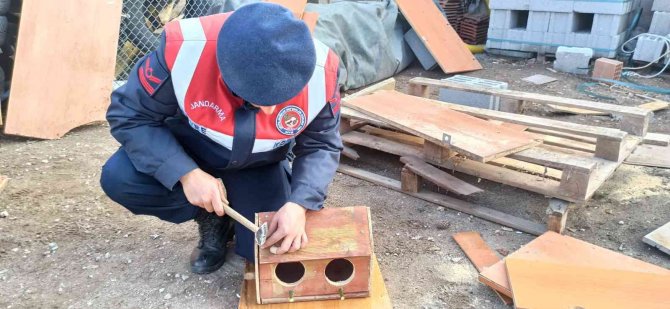 Jandarma, Geri Dönüşümden Topladığı Malzemelerle Hayvanlara Yuva Yaptı