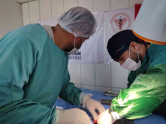 Elbistan’da 200 Sokak Köpeği Kısırlaştırıldı