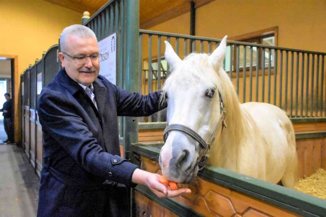 Karacabey Harası Örnek Oluyor
