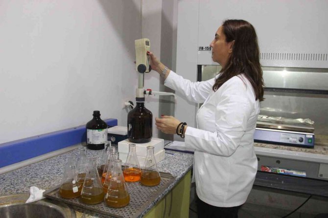 Toprak Analizi Verim Ve Kaliteyi Arttırıyor