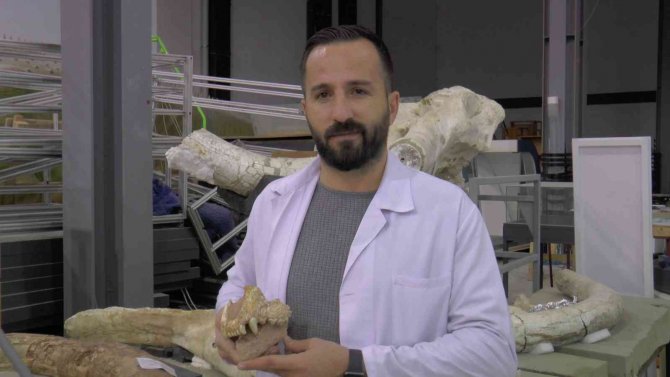 Kayseri’de 7,5 Milyon Yıllık Aslan Kafatası Bulundu