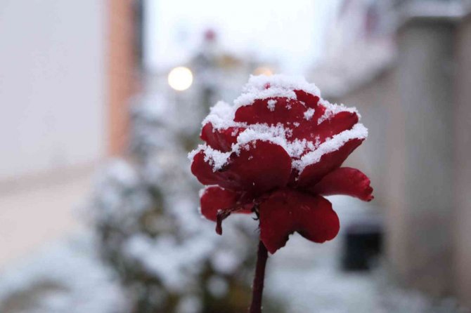 Erzincan Kent Merkezine Mevsimin İlk Karı Düştü