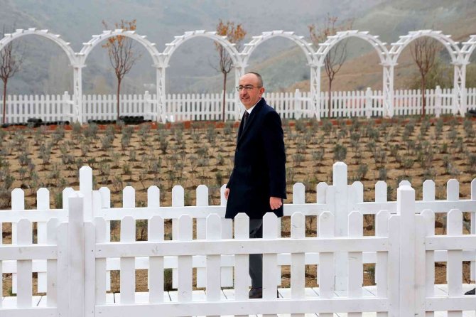 Meram Belediyesi Dere Mahallesinde Lavanta Bahçesi Kurdu