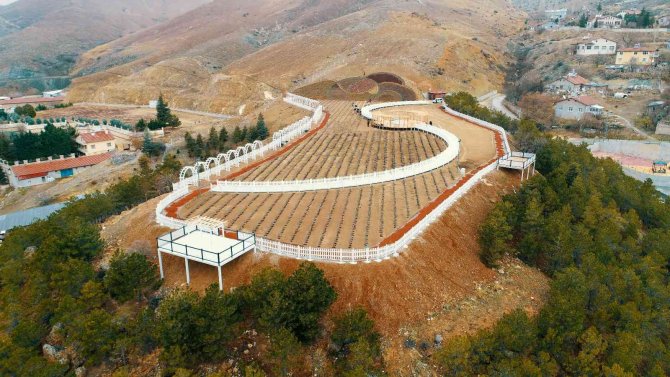 Meram Belediyesi Dere Mahallesinde Lavanta Bahçesi Kurdu