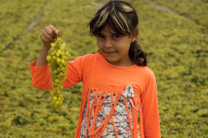 Onlar İçin Üzüm Sadece Üzüm Değil