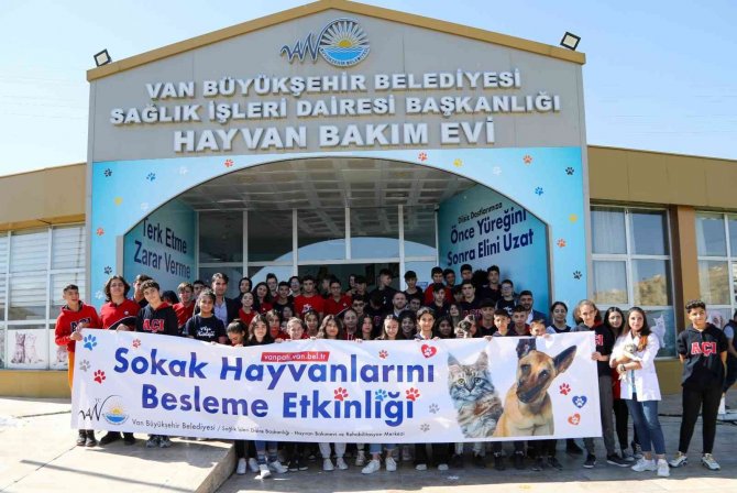 Van’da Bir Yılda 7 Bin 500 Sokak Hayvanı Tedavi Edildi