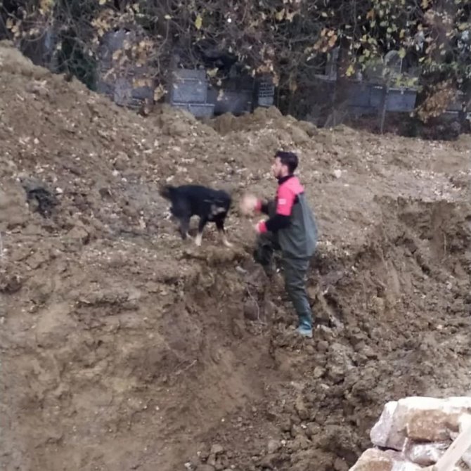 Yalova’da Dere Yatağına Düşen Köpeği İtfaiye Kurtardı