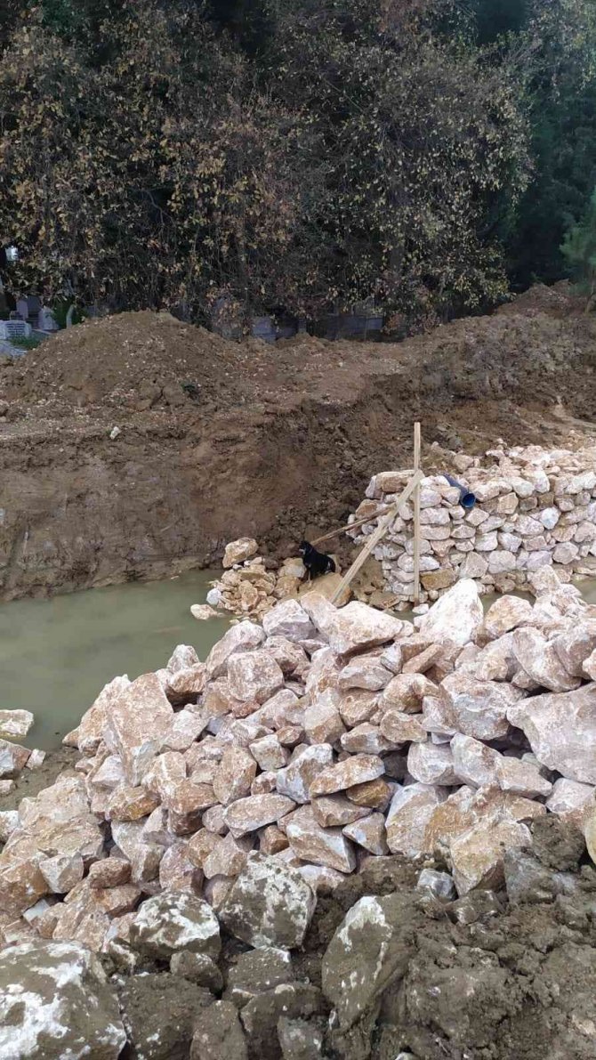 Yalova’da Dere Yatağına Düşen Köpeği İtfaiye Kurtardı