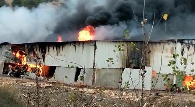 Amasya’da Kontrplak Fabrikasında Korkutan Yangın